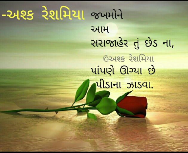 Gujarati Shayri by Reshma : 111024349