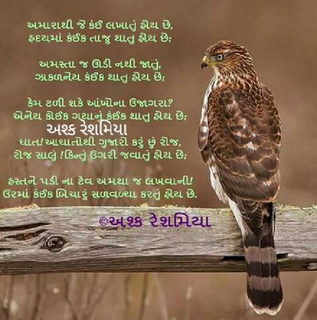 Gujarati Shayri by Ashq Reshmmiya : 111024858