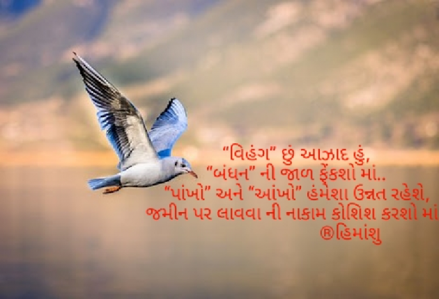 Gujarati Shayri by Himanshu Patel : 111026143