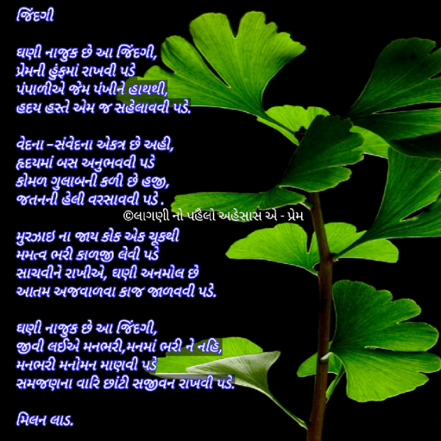 Gujarati Shayri by Milan : 111026301