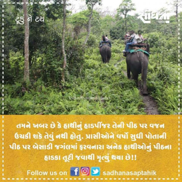 Gujarati Blog by Umesh Donga : 111027210