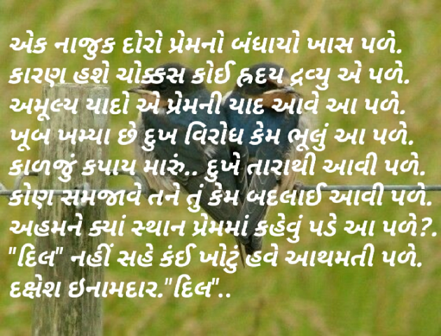 Gujarati Shayri by Dakshesh Inamdar : 111027241