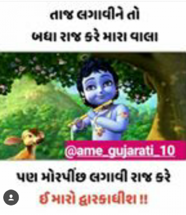 Gujarati Whatsapp-Status by Zala Pushparajsinh : 111028925