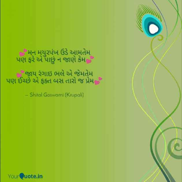 Gujarati Shayri by Shital Goswami : 111034638