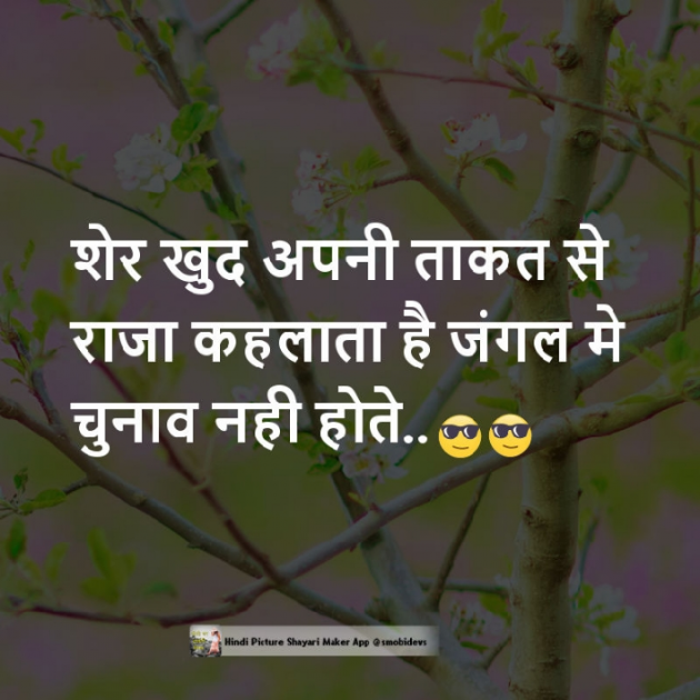 Hindi Quotes by Sehar Sehar : 111035411