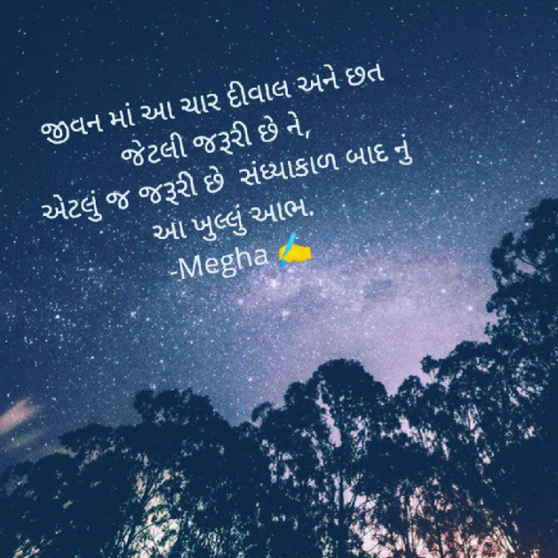 Gujarati Quotes by Megha gokani : 111035524