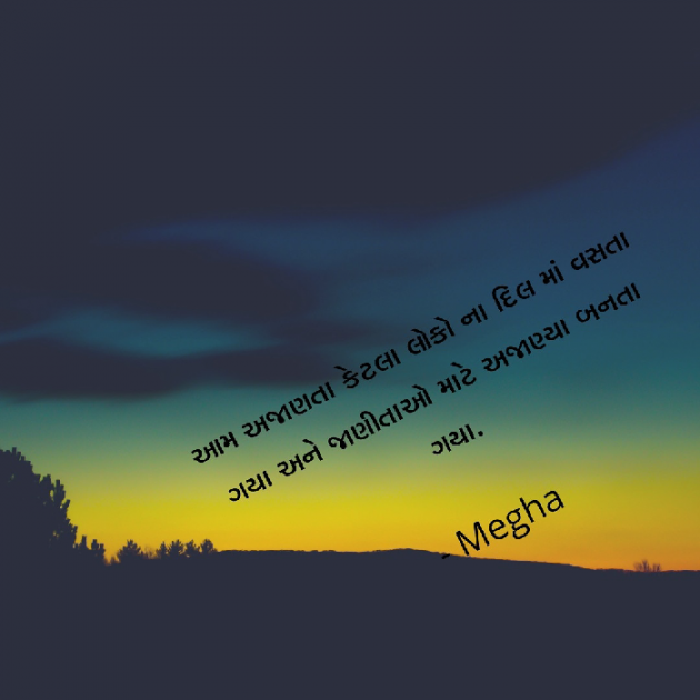 Gujarati Quotes by Megha gokani : 111036098