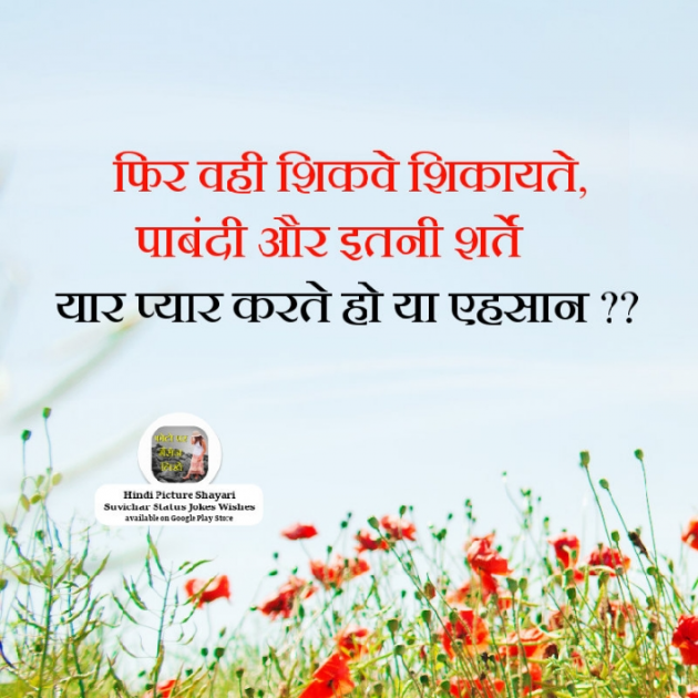 Hindi Quotes by Sehar Sehar : 111036106