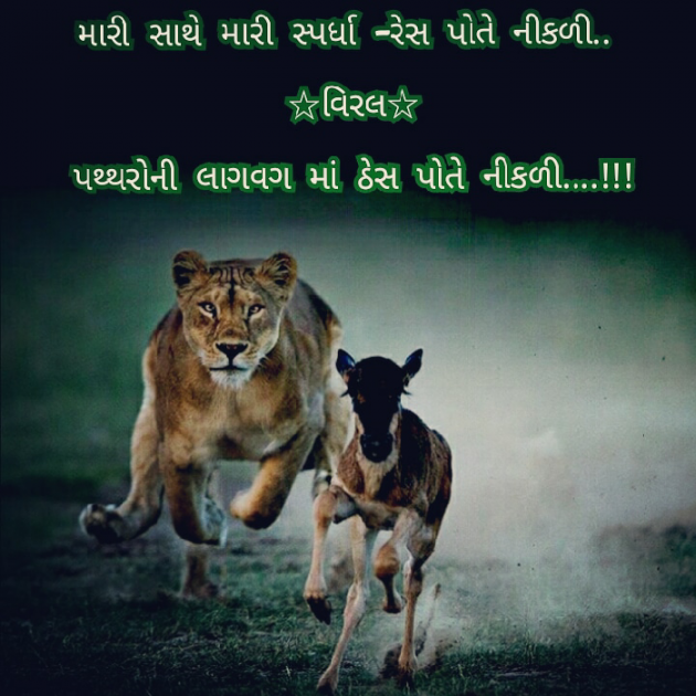 Gujarati Whatsapp-Status by Deepak D.one : 111036820