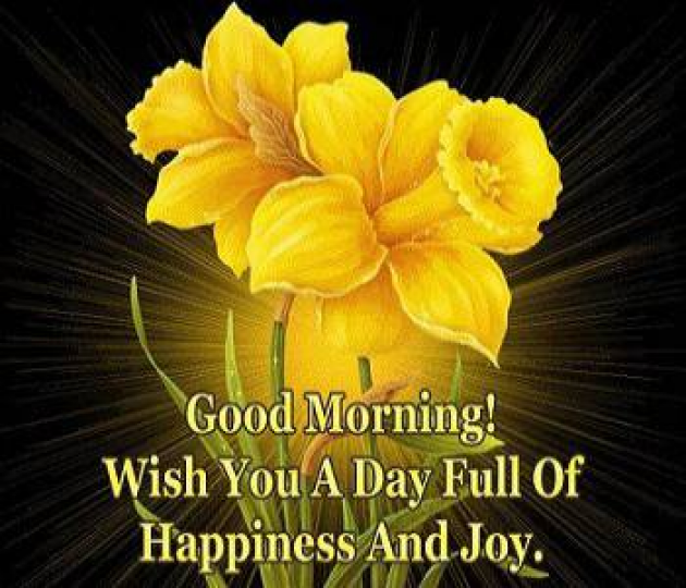 Hindi Quotes by Sehar Sehar : 111037109