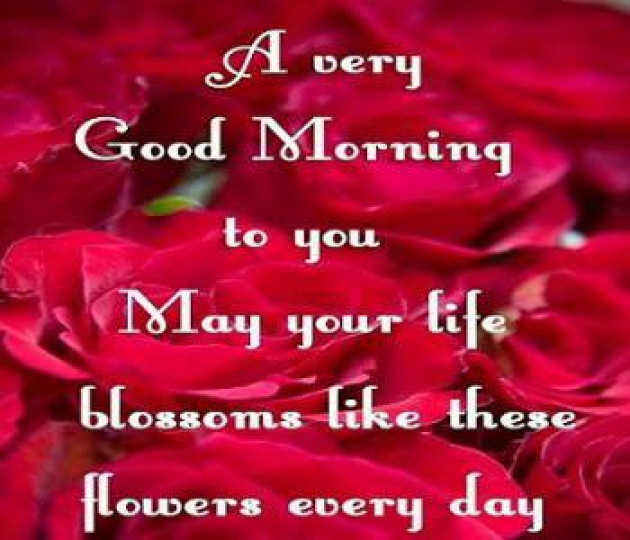 Hindi Quotes by Sehar Sehar : 111037110