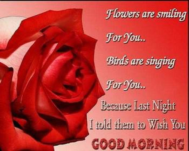 Hindi Quotes by Sehar Sehar : 111037111