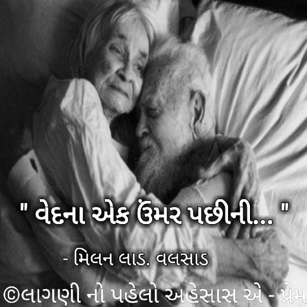 Gujarati Shayri by Milan : 111038560