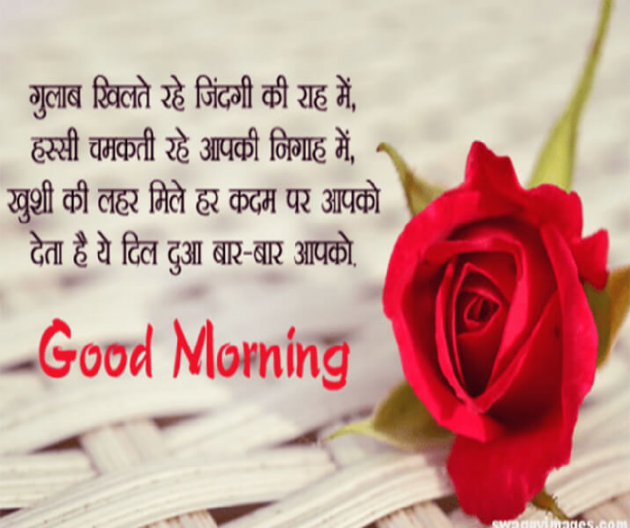 Hindi Quotes by Sehar Sehar : 111038765