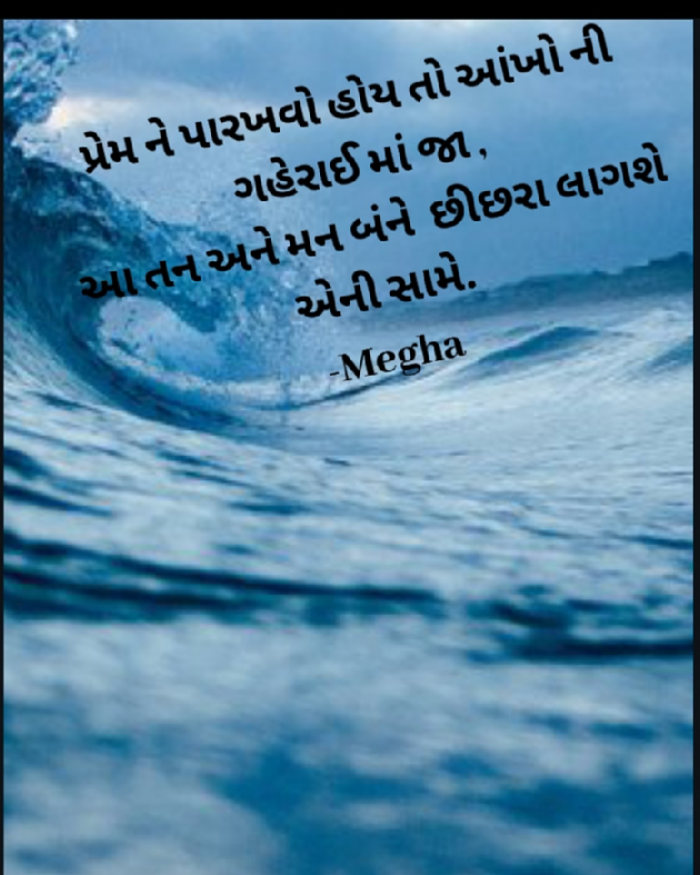 Gujarati Whatsapp-Status by Megha gokani : 111039084