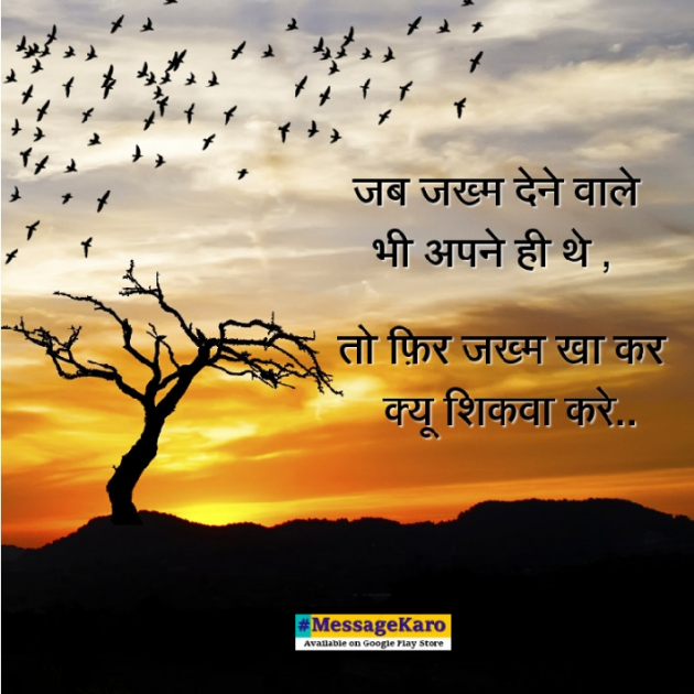 Hindi Quotes by Sehar Sehar : 111039156