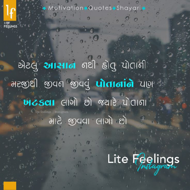 Gujarati Blog by VIDHI_MISTRY : 111039804