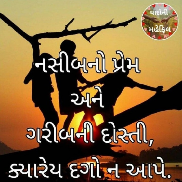 Gujarati Shayri by Umesh Donga : 111040866