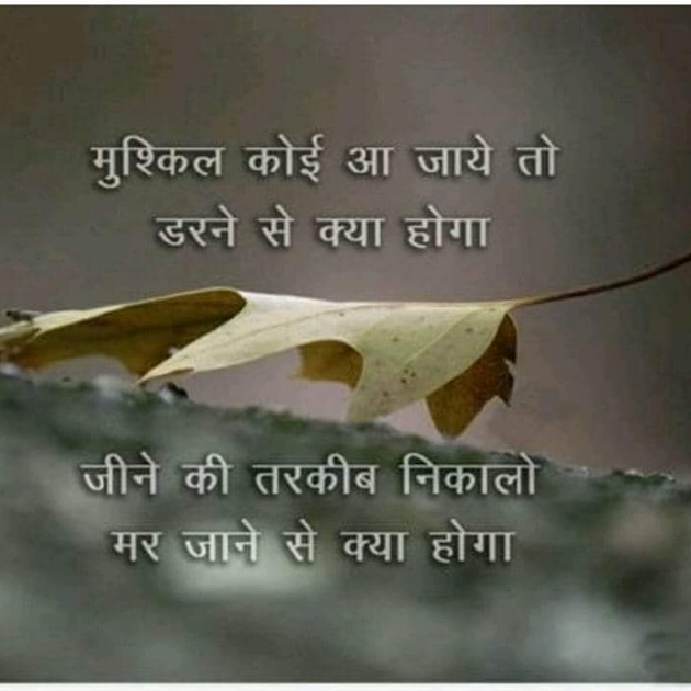 Gujarati Quotes by Umesh Donga : 111042031