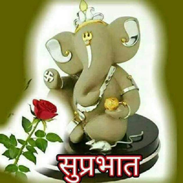 English Quotes by Sehar Sehar : 111042458
