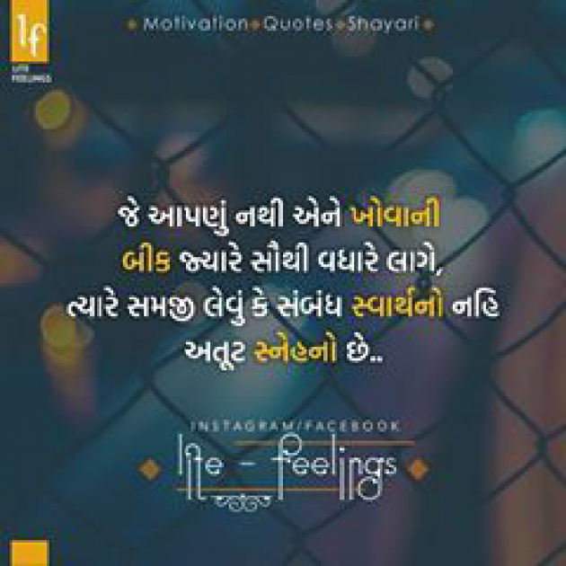 Gujarati Blog by VIDHI_MISTRY : 111042796