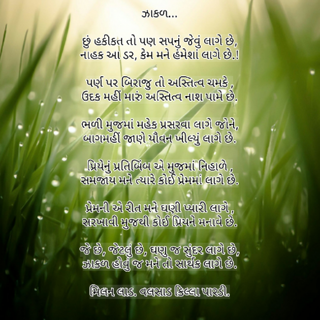 Gujarati Shayri by Milan : 111042946