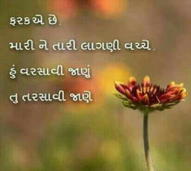 Gujarati Blog by VIDHI_MISTRY : 111043037