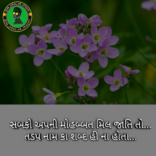 Gujarati Shayri by Justin Forefun : 111044081