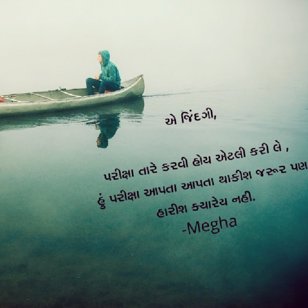 Gujarati Whatsapp-Status by Megha gokani : 111044456