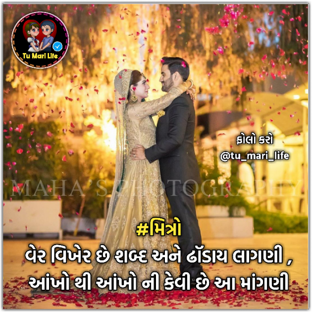 Gujarati Shayri by tu mari life : 111045044