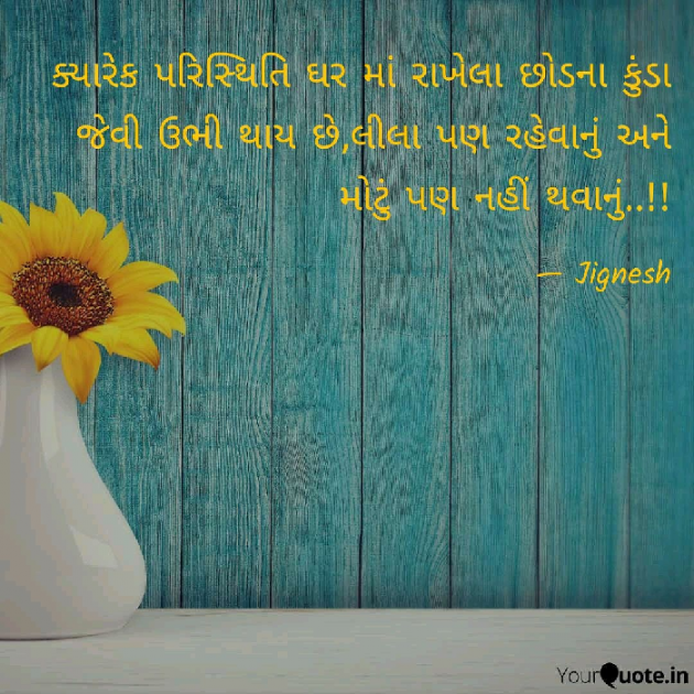 Gujarati Blog by JIGNESH BHATT : 111045366