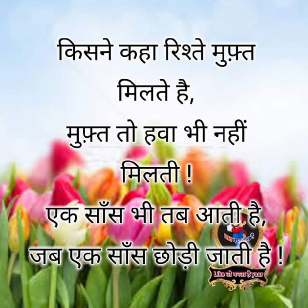 Hindi Quotes by Rahil ansari : 111046037