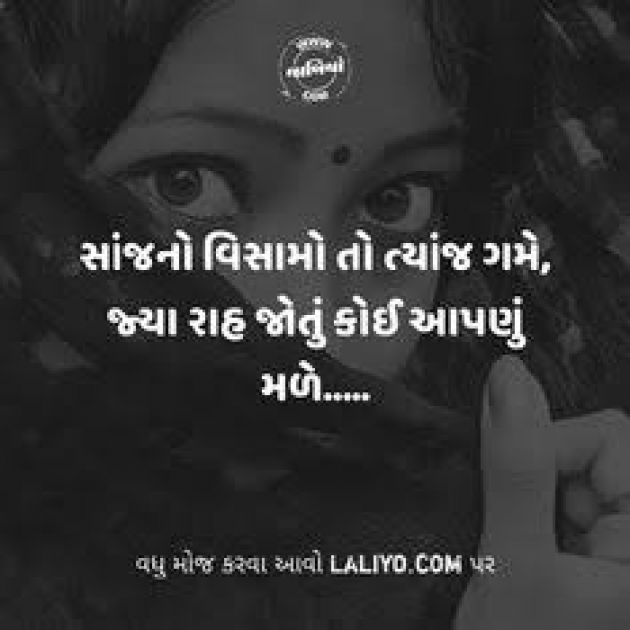 Gujarati Shayri by Nikunj Gohel : 111046146