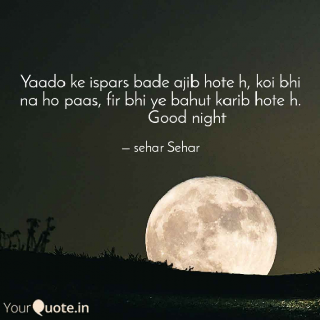 English Quotes by Sehar Sehar : 111046235