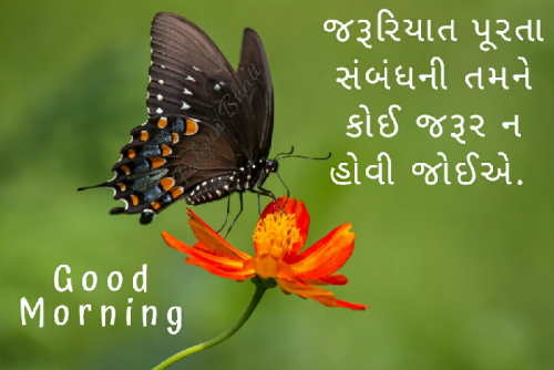 Post by Falgun on 12-Nov-2018 09:10pm