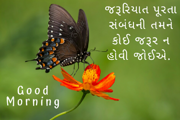 Gujarati Quotes by Falgun : 111046781