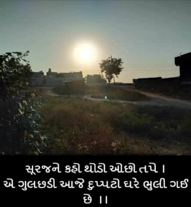 Gujarati Shayri by Gujju singham : 111047250