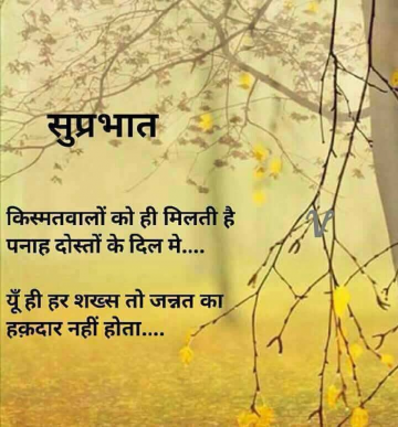 asmehta225927