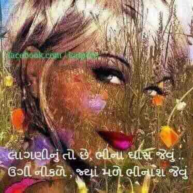 Gujarati Shayri by Miraya Pandya : 111047636