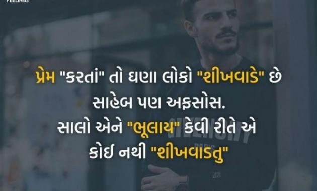 Gujarati Blog by A friend : 111048251