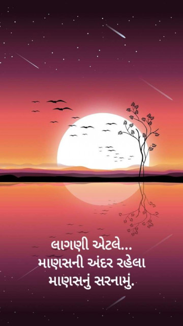 asmehta225927