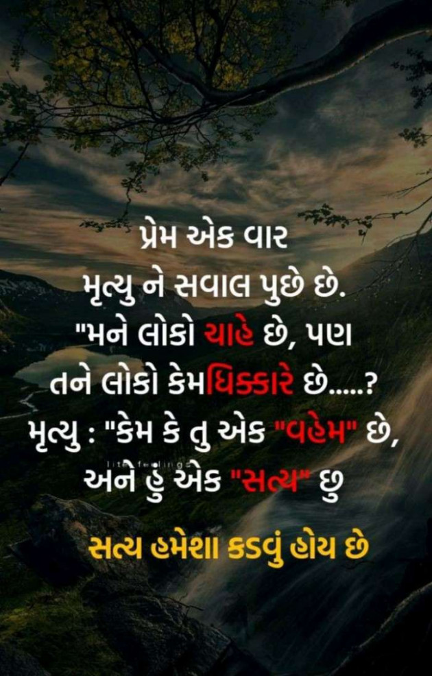 Gujarati Whatsapp-Status by Jayesh Prajapati : 111048830