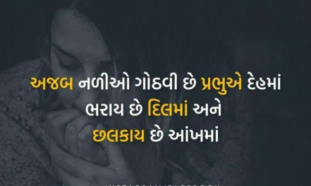 Gujarati Blog by A friend : 111048961