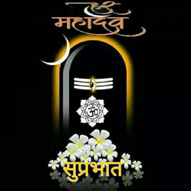 English Quotes by Sehar Sehar : 111049147