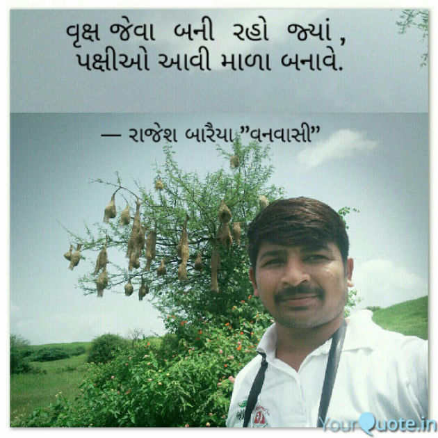 Gujarati Quotes by rajesh baraiya : 111049349