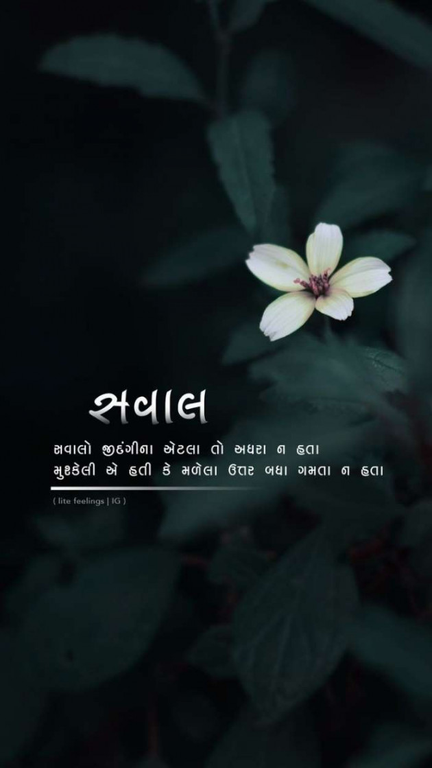 Gujarati Blog by A friend : 111049435