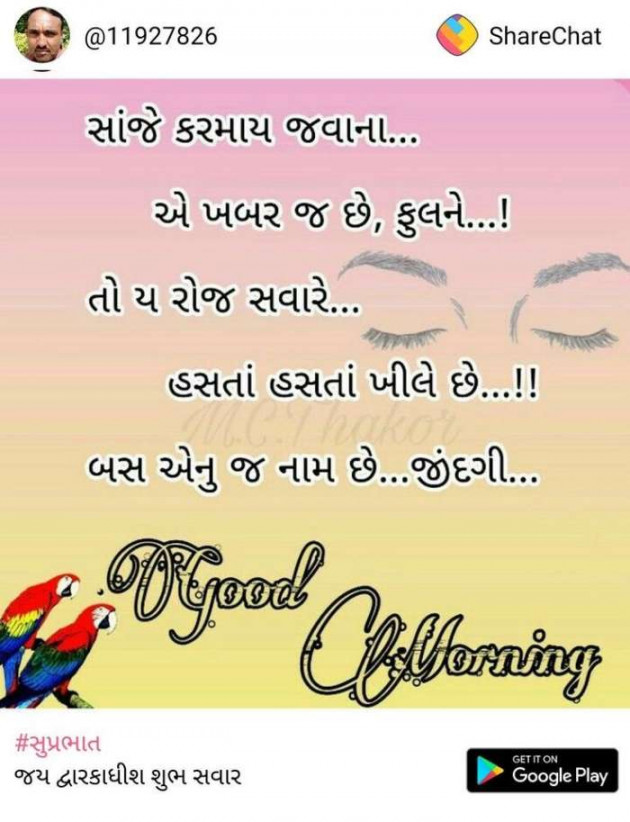 Gujarati Blog by A friend : 111049472