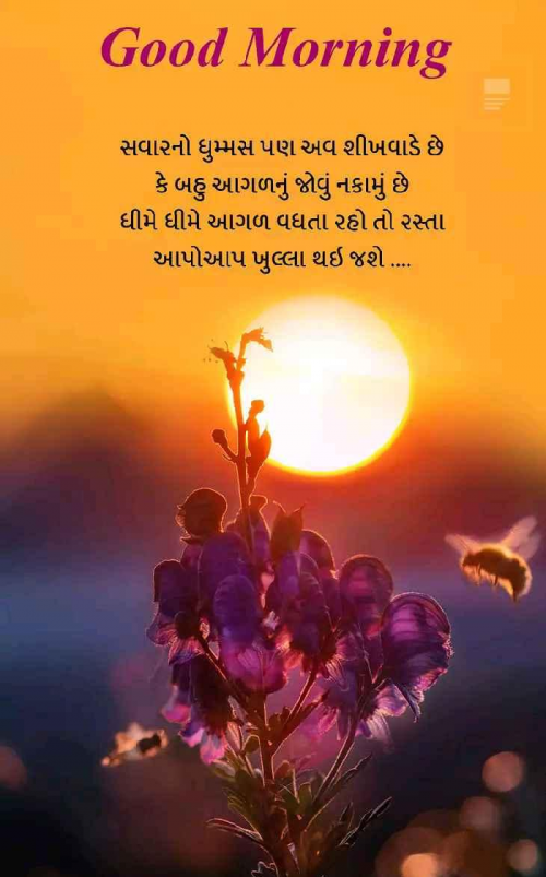 Post by Soham Vora on 20-Nov-2018 08:41am