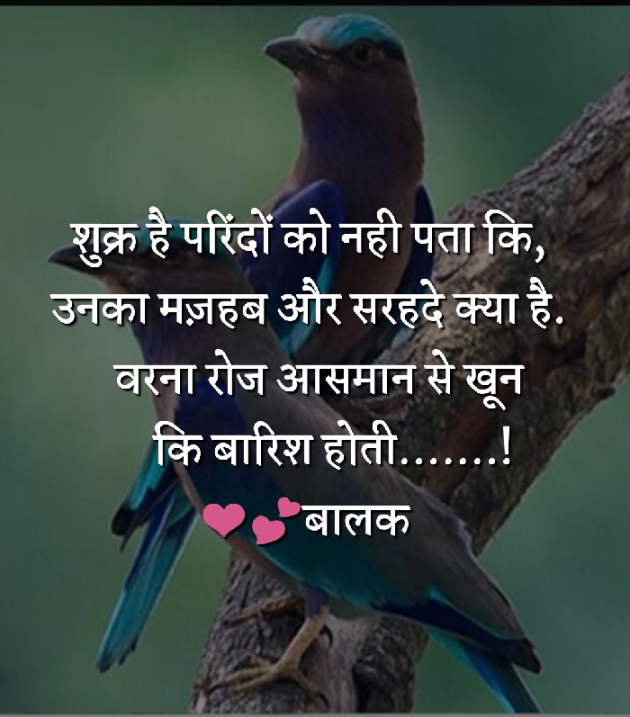 Gujarati Quotes by Baalak lakhani : 111049535