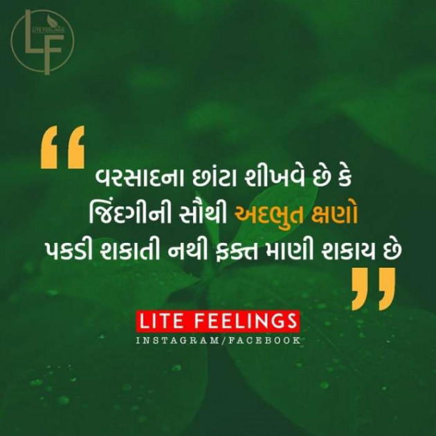 Gujarati Blog by A friend : 111050548